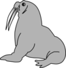 Seal With Tusks Clip Art